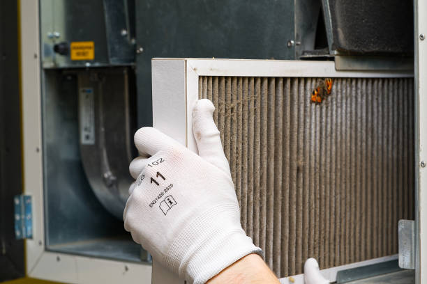 Best Affordable HVAC Duct Cleaning  in Red Bud, IL