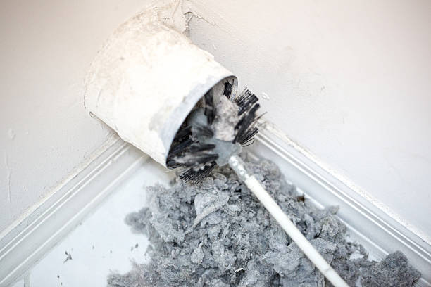 Best Affordable Duct Cleaning Services  in Red Bud, IL