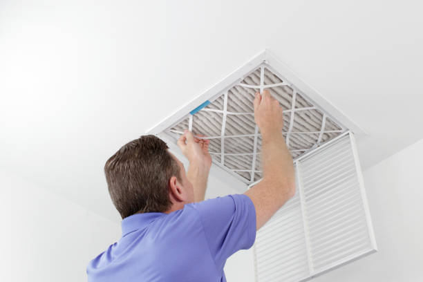 Best Ductwork Cleaning Services  in Red Bud, IL